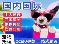 北戴河航空运输国际宠物托运 【国